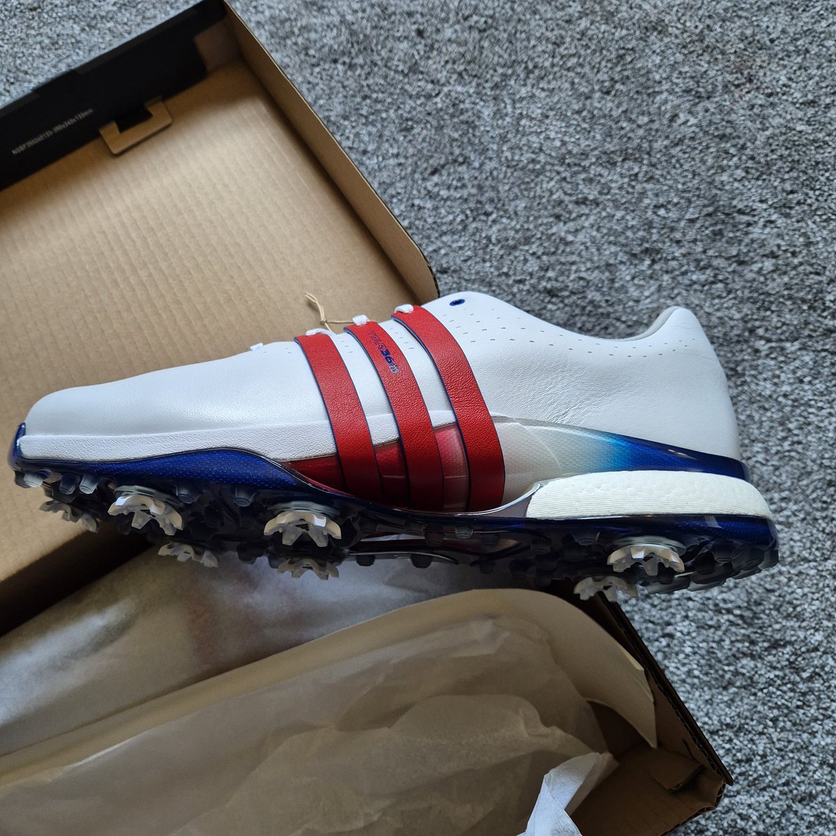 Professor Theodore Von Schwarzenhoffen tweet media