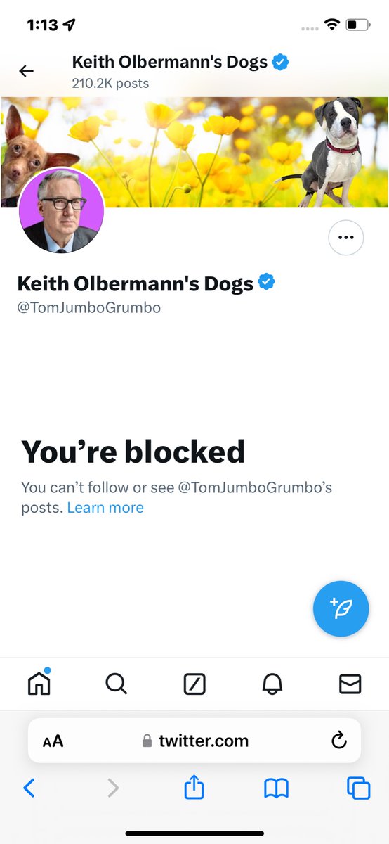 Because they didn’t like me telling them DO SOMETHING …and quit the obsessive political rants while dogs are getting wiped out @NYCACC. It’s time to stop with the how sad we are to see another killed/put down while a small handful of rescues are trying to pull/save dogs.