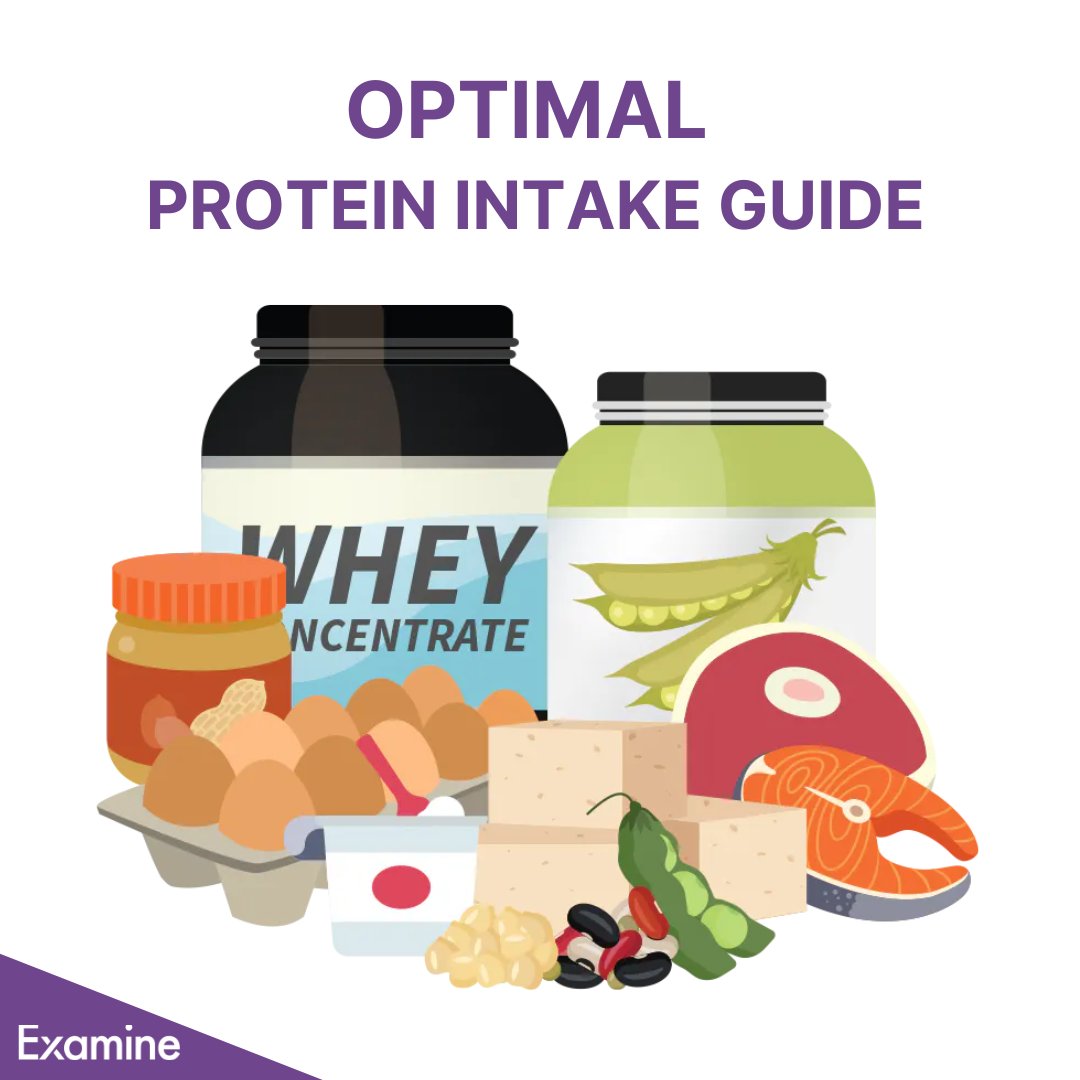 How much protein do you need per day? As with most things in nutrition, it depends — on your health, goals, physical activity, and more. Read Examine’s Optimal Protein Intake Guide to see how much protein you need: examine.news/tw240417-2 #examined #protein #nutrition