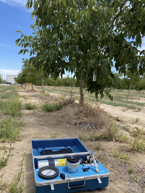 UC Cooperative Extension is offering workshops in Modesto, Merced, Fresno, and Bakersfield to help growers manage irrigation and nutrients for young and mature orchards. Starting May 9. #UCCE @TobiasOker Register - bit.ly/3vM1BCJ