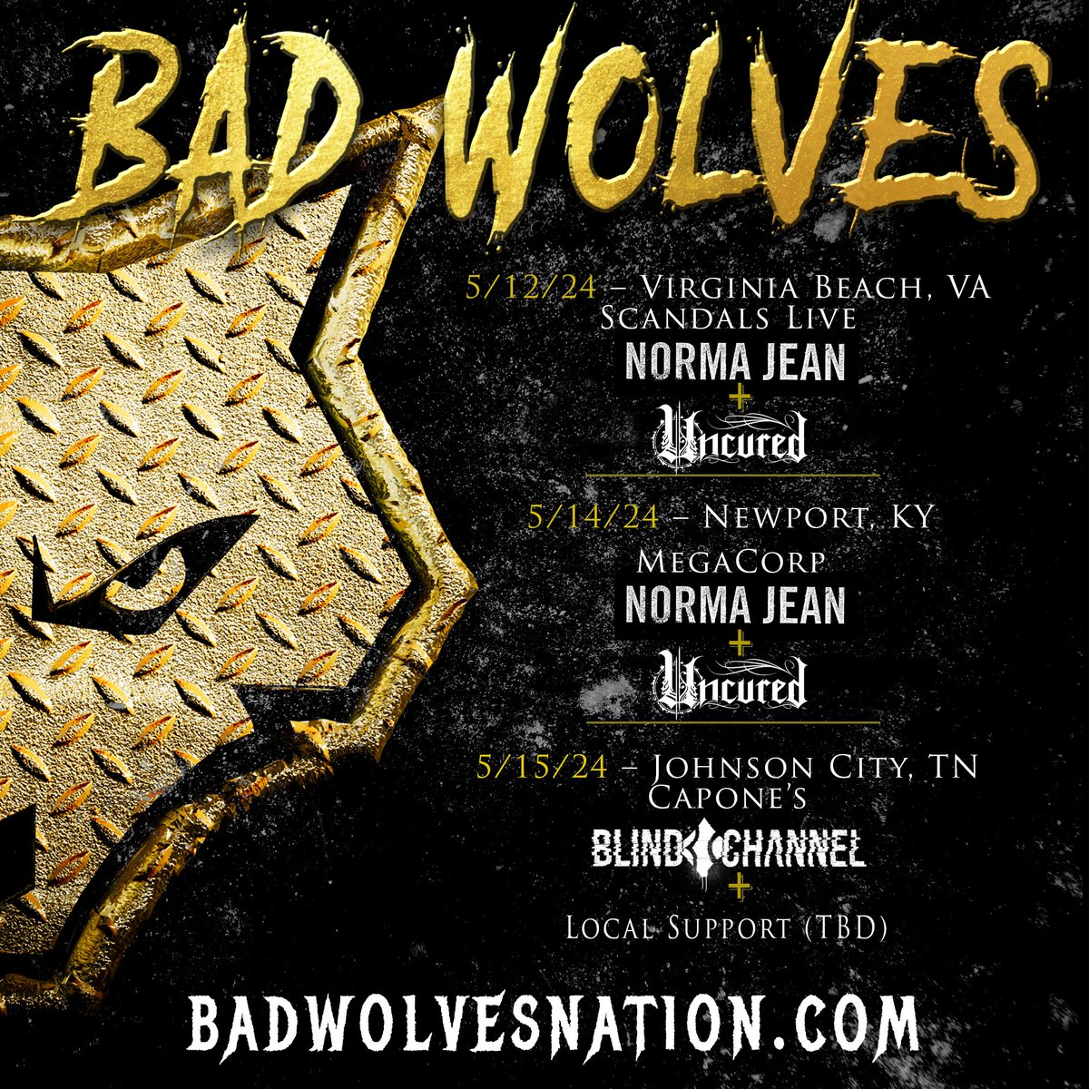 🚨VIRGINIA🚨KENTUCKY🚨TENNESSEE🚨 Support has been announced! Catch us with @NormaJeanBand @uncuredband 5/12 & 5/14 and @BlindChannelFIN + Local Support (TBD) 5/15 🎫 Get your tickets now! 🔗 Badwolvesnation.com