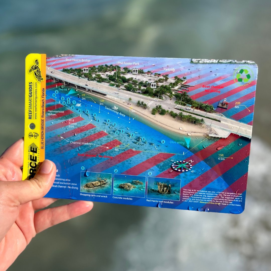 k12_print's tweet image. Look at the stunning detail of these underwater diving maps!  Crafted with precision and printed to perfection. Bringing clarity to the depths, one print at a time. #PrintPerfection #UnderwaterMapping #DiveIntoDetail