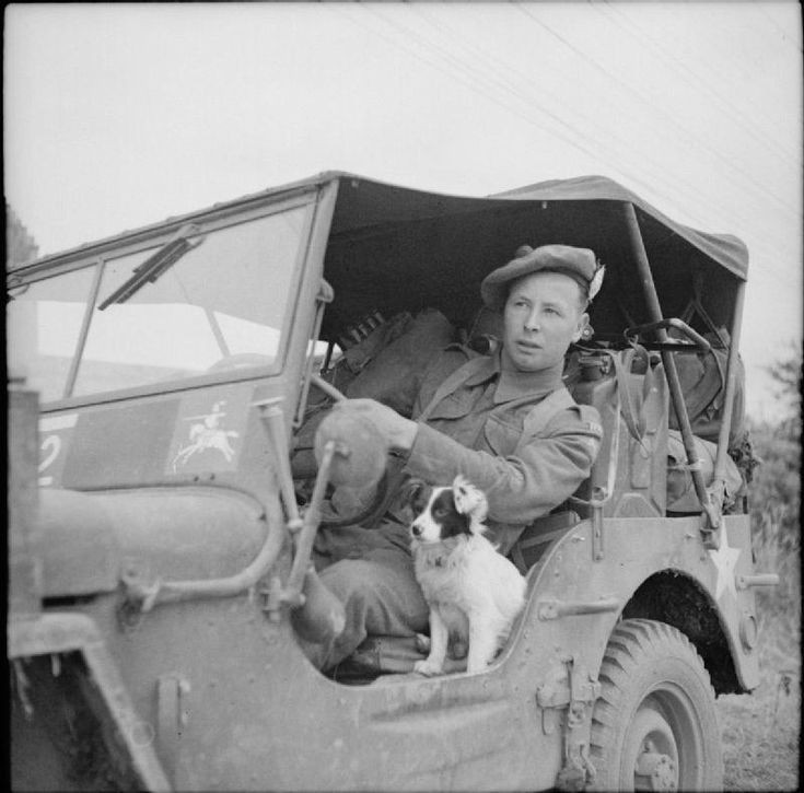 Driver mechanic George Couser of 91st Anti-Tank Regiment in a jeep with a pet dog in Tessel-Bretteville, 30 June 1944.

#britishhistory #britisharmy #secondworldwar