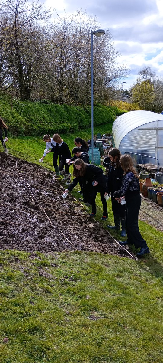 Balfron eco-club sowed wildflower seeds to create pollinator patch today. Thanks to support from @Ontheverge with this and we got some sunshine too!