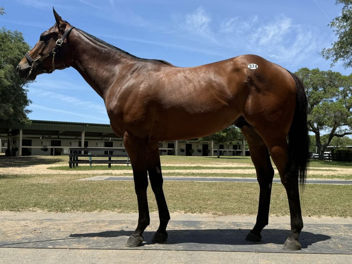 Welcome to the team #RRR Racing
<a href="/OBSSales/">OBSSales</a>