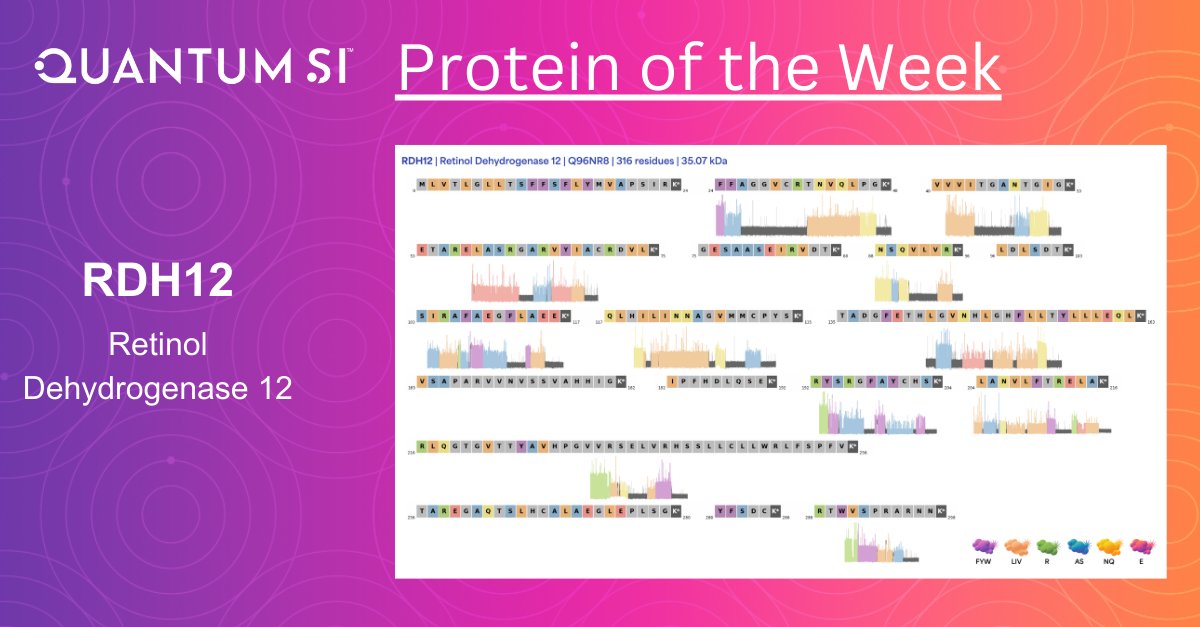 An ~43 million people in the world are living with blindness. We sequenced, RDH12, an enzyme involved in the visual cycle, specifically in the conversion of all-trans-retinal to all-trans-retinol in the retina. Mutations in the gene are associated with vision impairment.