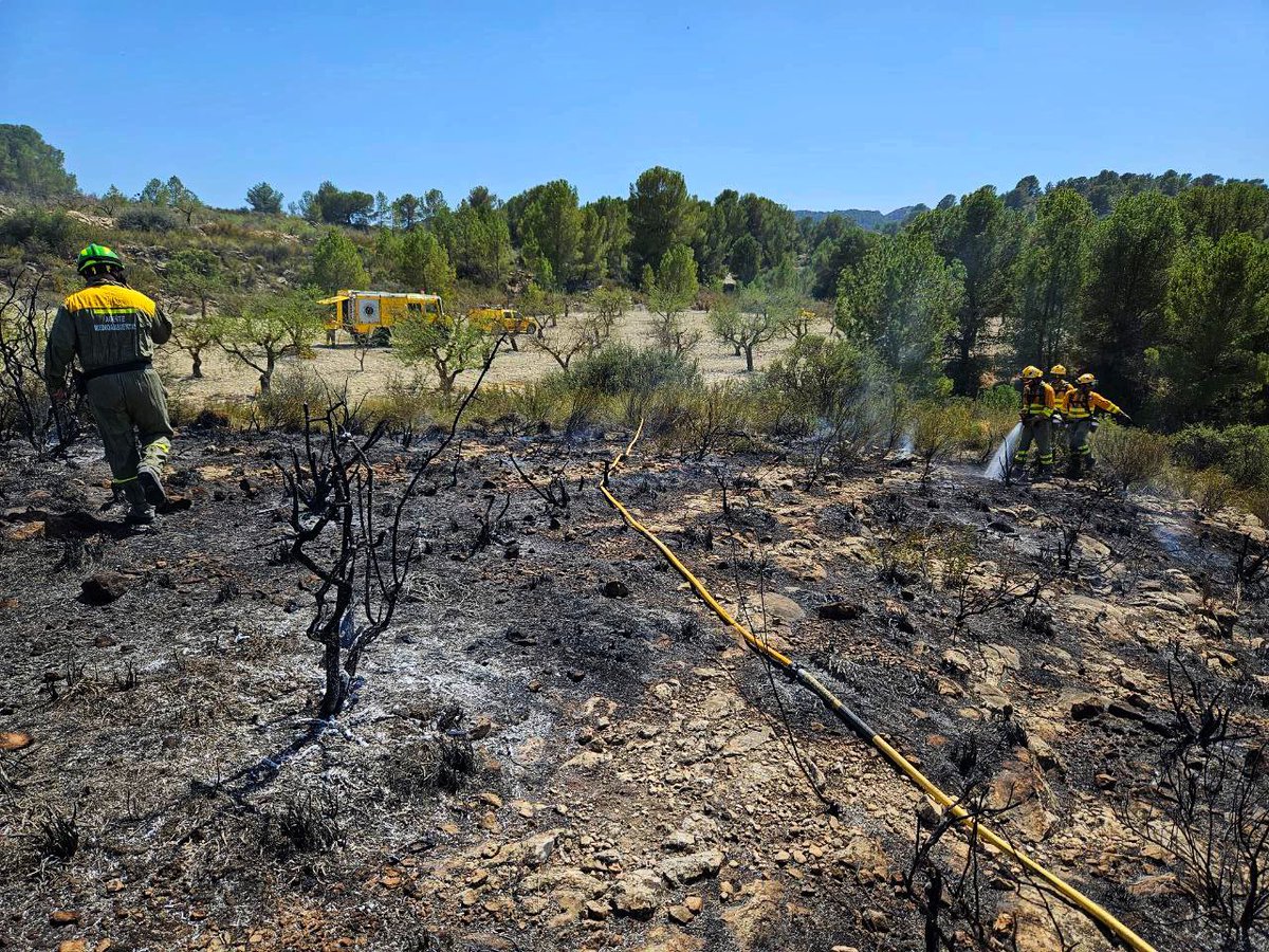 DEFENSA FORESTAL MURCIA tweet media