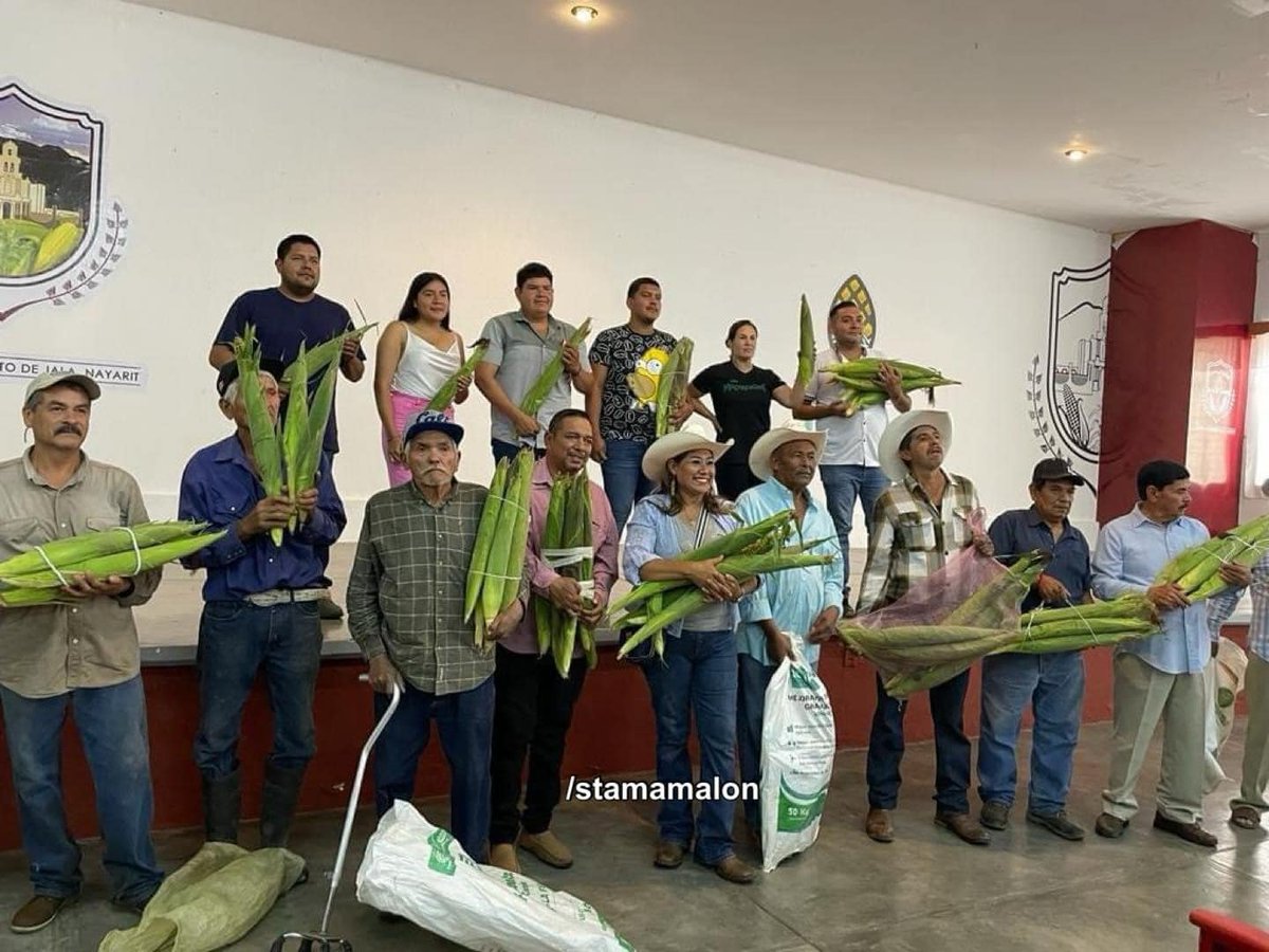 Lycaon ࿓ tweet media