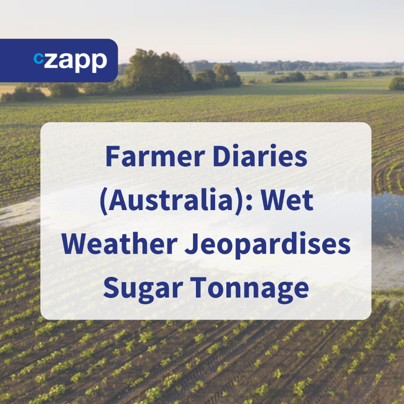 Czapp_portal's tweet photo. Cyclone season has brought relentless rain to Australia's sugarcane farms, jeopardizing this year's crop. Farmers embrace drones, but labor shortages and mill closures add to the challenges. #SugarcaneFarmers #AustraliaWeather #AgricultureCrisis