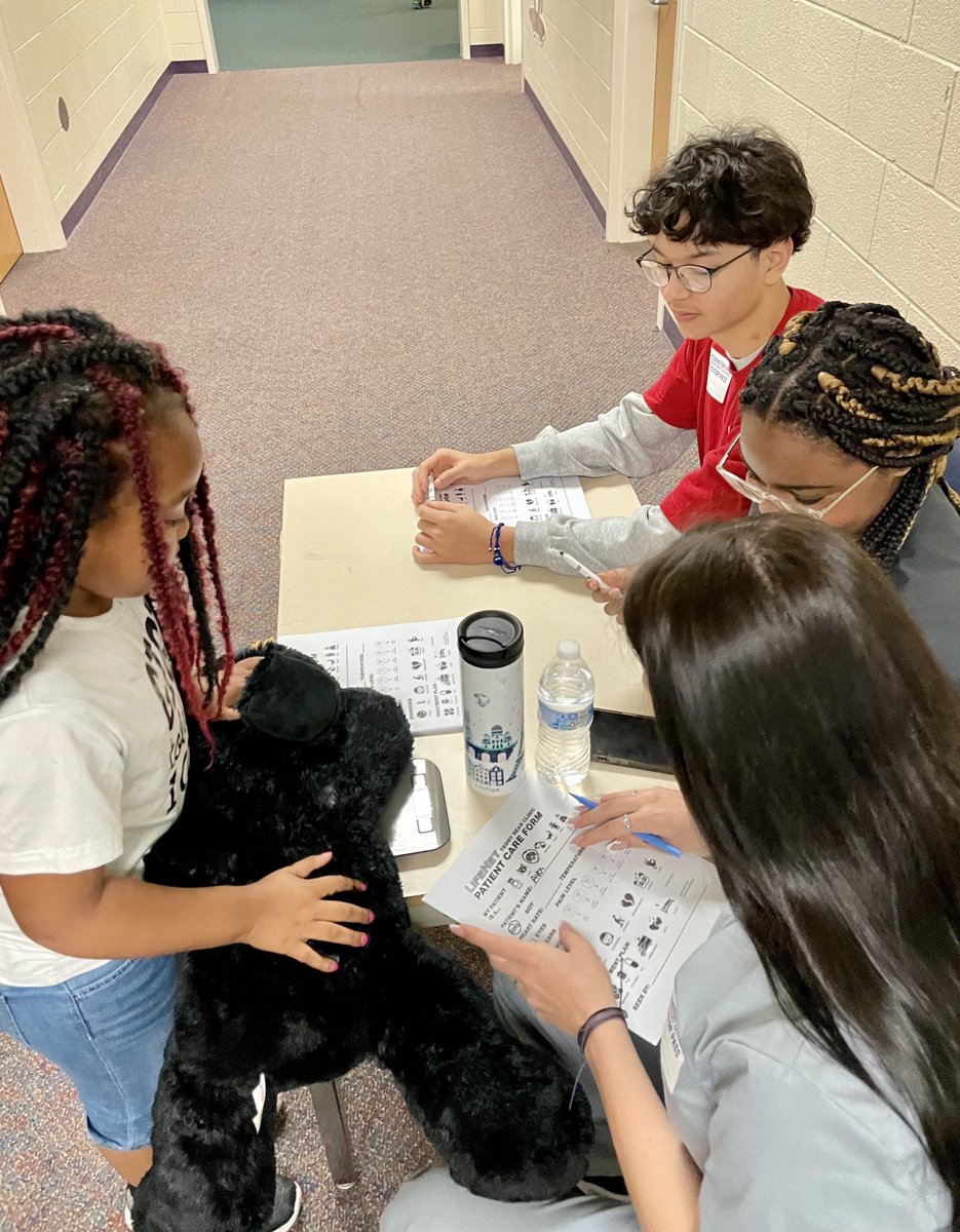 heidi liddle tweet media