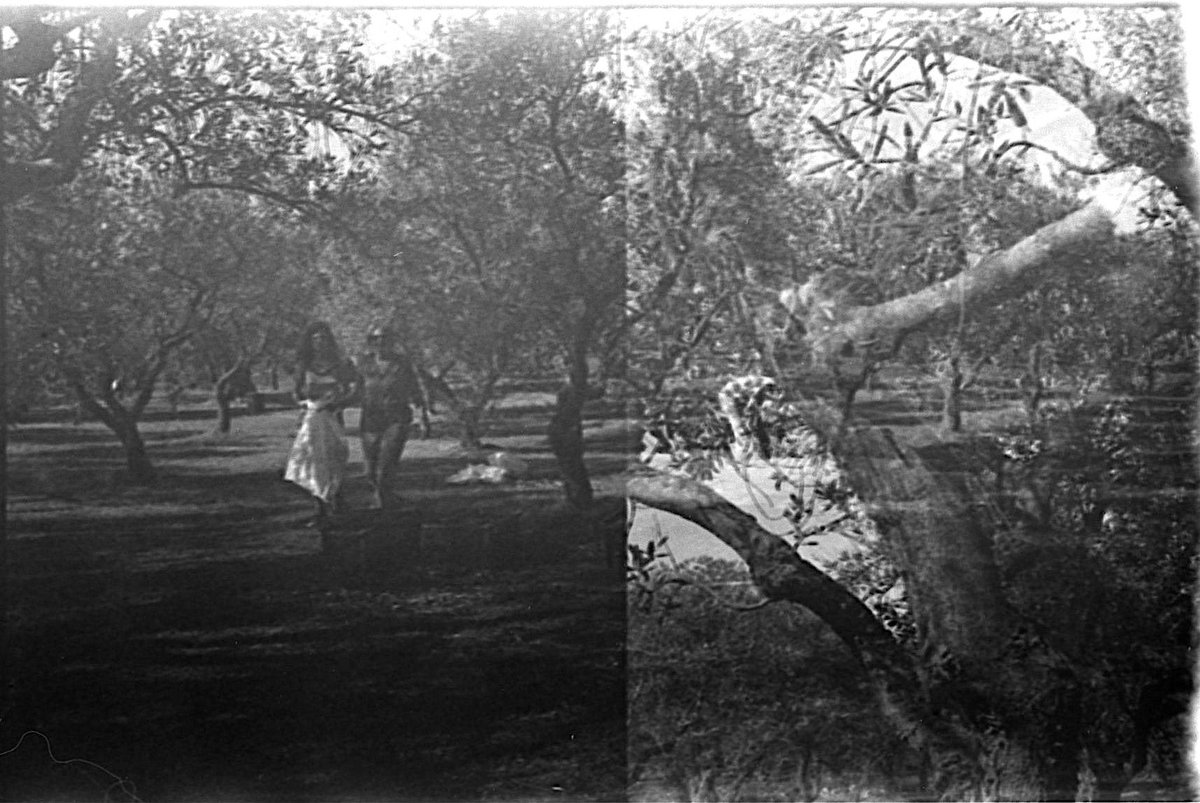 Tilling Roots & Seeds (@rootsandseeds21) on Twitter photo We are pleased to announce the selected artists for our Tilling Roots&Seeds residency in Italy: the collective <a href="/maliweil/">Mali Weil</a> and #EmmaHarris.
Thanks to our project partners <a href="/quoartis/">Quo Artis</a>, #KilowattBologna, <a href="/ArsElectronica/">Ars Electronica</a>, <a href="/UniBarcelona/">Universitat de Barcelona</a> and <a href="/europe_creative/">Creative Europe</a> We are pleased to announce the selected artists for our Tilling Roots&Seeds residency in Italy: the collective <a href="/maliweil/">Mali Weil</a> and #EmmaHarris.
Thanks to our project partners <a href="/quoartis/">Quo Artis</a>, #KilowattBologna, <a href="/ArsElectronica/">Ars Electronica</a>, <a href="/UniBarcelona/">Universitat de Barcelona</a> and <a href="/europe_creative/">Creative Europe</a>