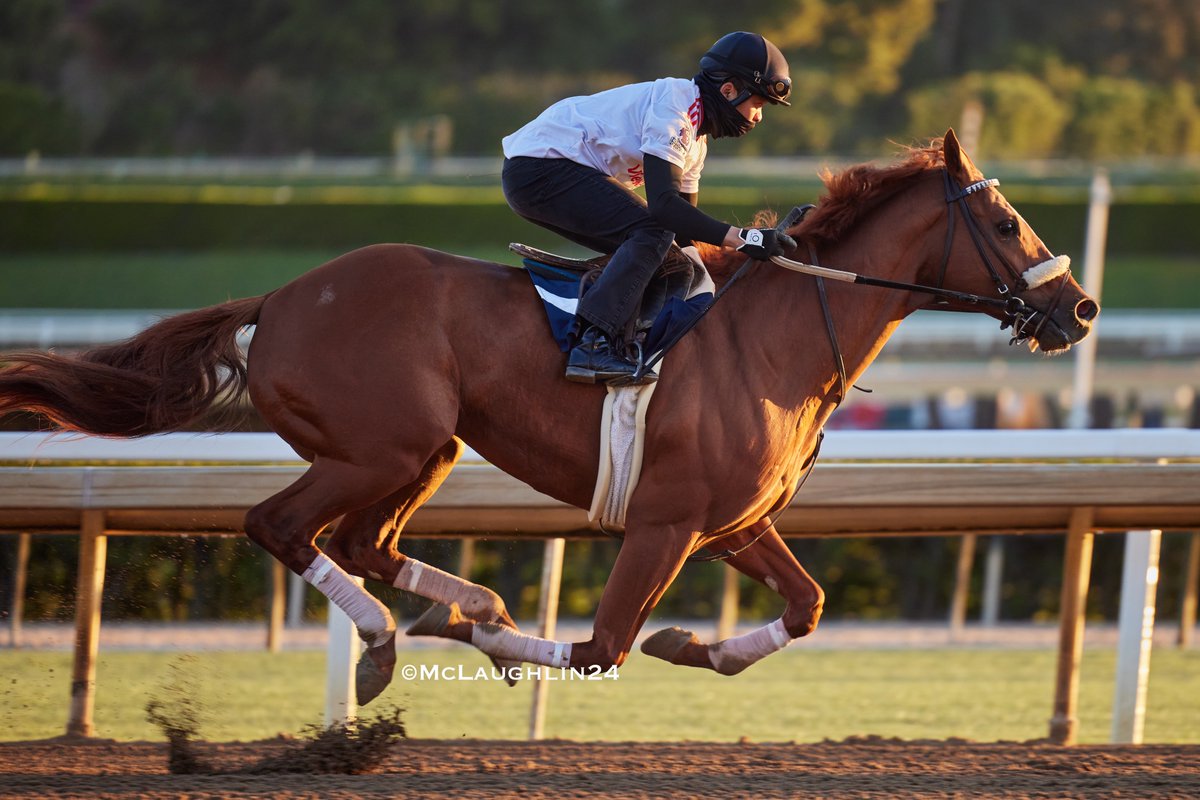 Nice looking half in 47.80 this morning for Circleofchampions under Yutta Lang for trainer Carla Gaines @santaanitapark @cgainesracing