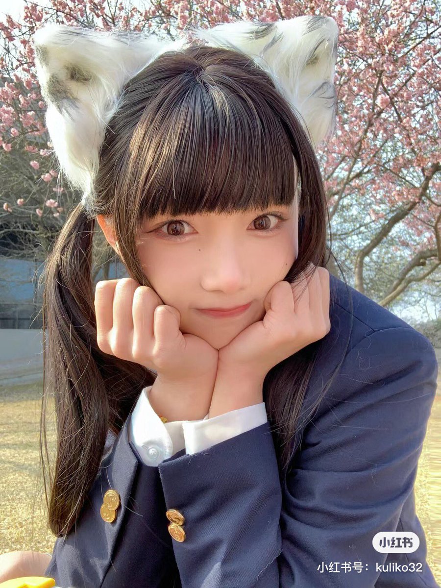 shenying_fans's tweet photo. AKB48 Team SH 沈莹（Shen Ying）

桜の木の下の猫ちゃん

可愛い😍

#AKB48TeamSH #沈莹 #ShenYing https://t.co/CIzhLibcLd