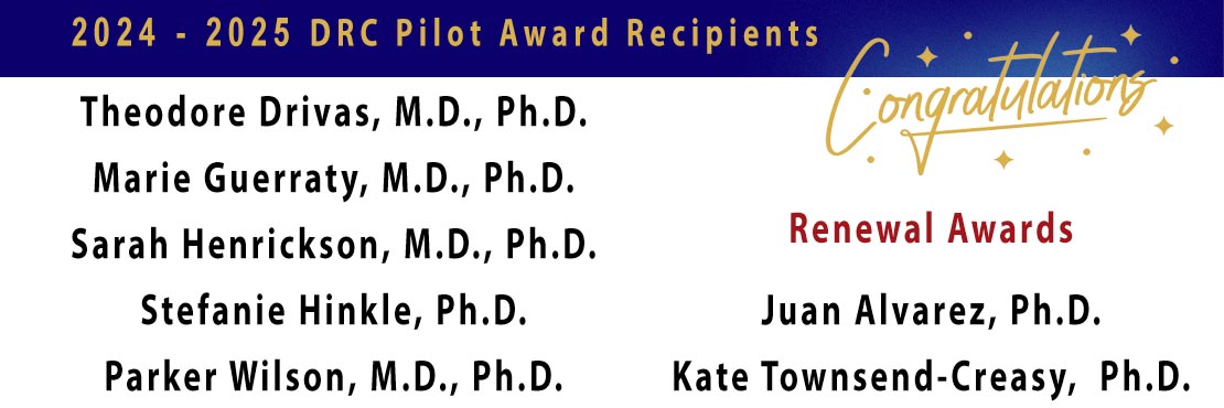 Congratulations to our 2024-2025 DRC Pilot Grant Awardees!