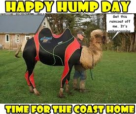 Happy Hump Day! Wet ol' day. Stay dry & drive safe. Welcome to the Coast Home with @tonyangelo59