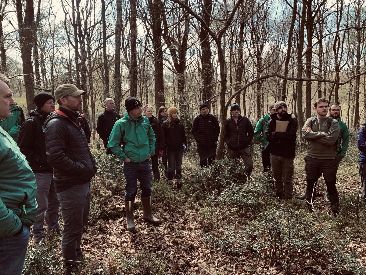 A great day out in Wyre Forest today,holding a deer activity and impact training day for my ⁦@ForestryComm⁩ colleagues and ⁦@NaturalEngland⁩ lead advisers ! Also joining was ⁦@ForestryEngland⁩ , a big thanks to all for a superb day.