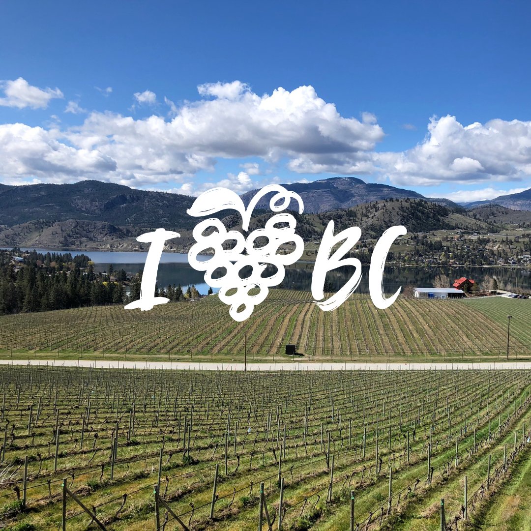 April is BC Wine Month! Do you love #BCWine as much as we do?! Visit us in the #Okanagan - we're open daily from 11 am - 4 pm. 📍Okanagan Falls, B.C. blastedchurch.com/reservation/ #Spring #BlastedChurch