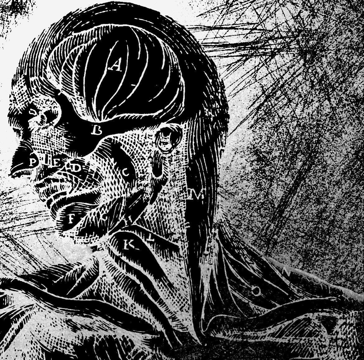 Golem fecal 🇵🇸 tweet media