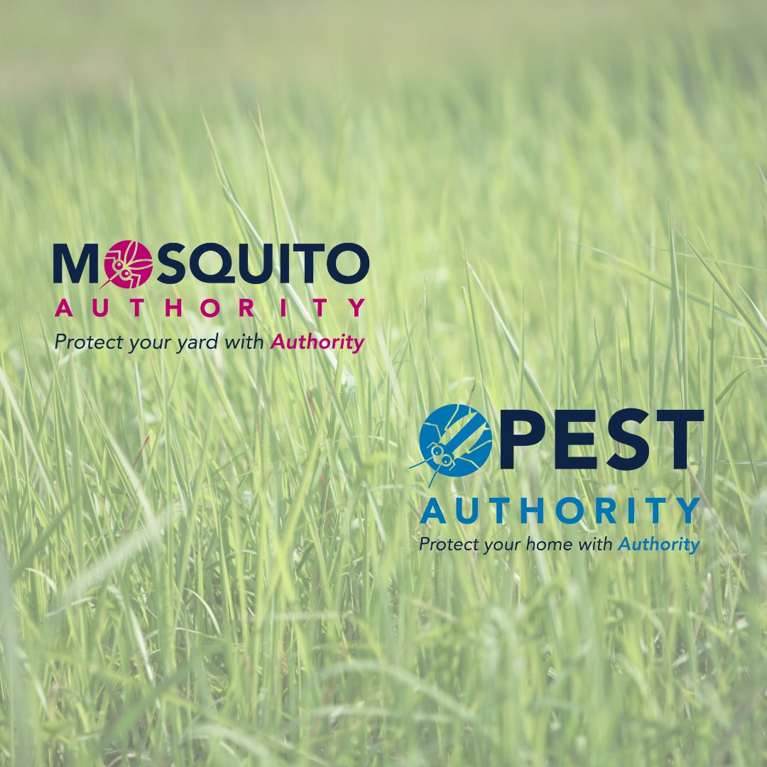 Say goodbye to pesky intruders this #PestManagementMonth with #MosquitoAuthority and #PestAuthority! 

Both teams are dedicated to keeping your home bug-free year-round. #BugFreeLiving