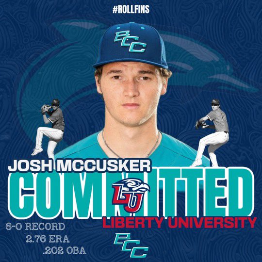 BCC Dolphins tweet media