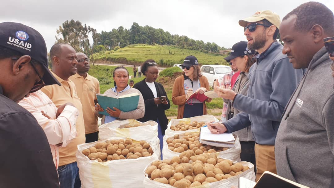In #Rwanda, the @FeedtheFuture @HingaWunguke Activity organized a field trip for @USAIDRwanda & partner projects to visit #potato seed multipliers & market actors in Nyabihu & Musanze districts with the goal of growing farmer incomes & strengthening the value chain.