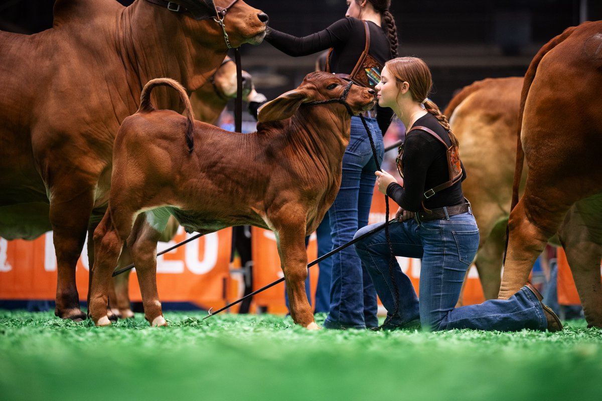 RODEOHOUSTON tweet picture