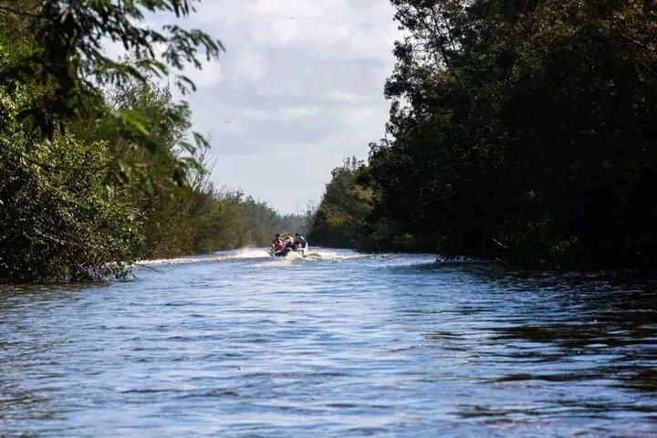 JuannCarlosGG's tweet photo. Ciénaga de Zapata, un lugar excepcional de #Cuba 🇨🇺
📍#Matanzas 
📸 Naturaleza Secreta https://t.co/CpYgOLanrr