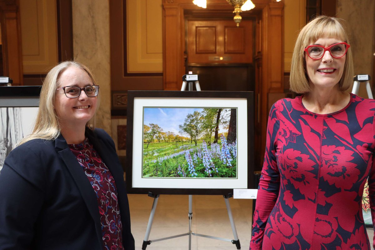 🎨Hoosier Women Artist Wednesday🎨 Susan Kirt Alterio is the talented artist behind “Dreamer” which hangs in my office. Please join me in celebrating and supporting Hoosier Women Artists across our state! Learn more about the HWA program here ➡️ in.gov/lg/ask-suzanne…