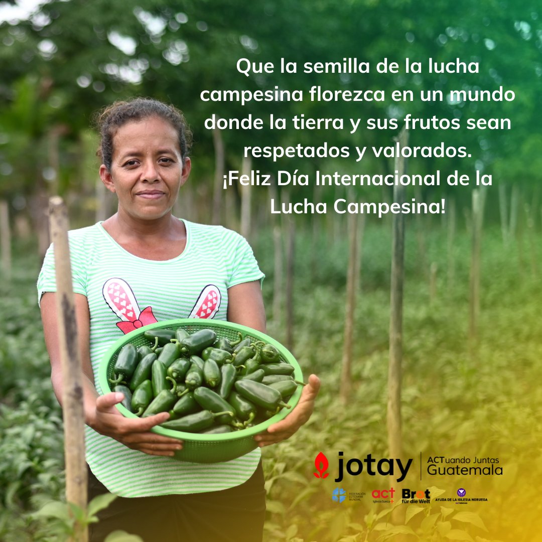 En el Día Internacional de la Lucha Campesina, honramos el trabajo de agricultores y agricultoras en todo el mundo. Desde el Programa ACTuando Juntas Jotay en Guatemala, apoyamos la lucha por la justicia agraria y la soberanía alimentaria. ¡Unidos por un campo justo y sostenible!