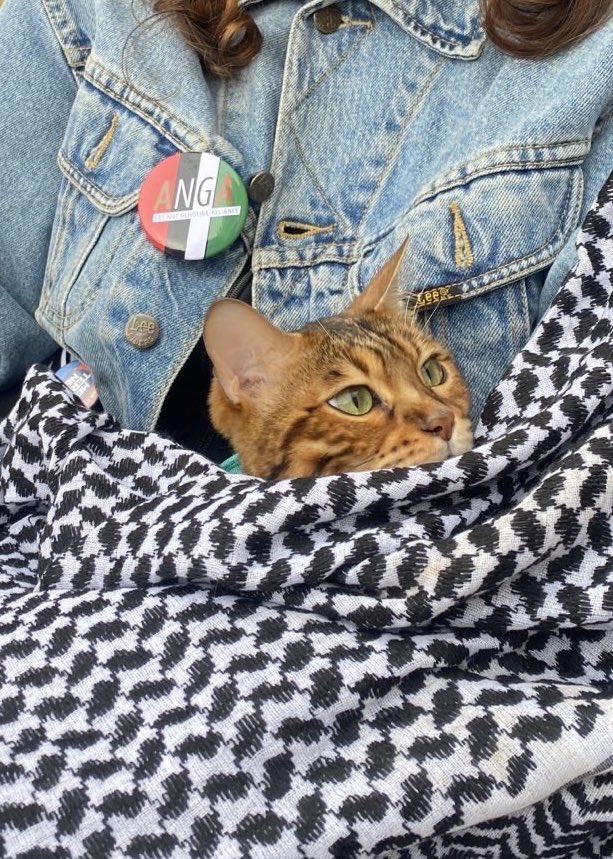 Look at this hero. Wildcat support for our strike against Genocide supporting States in Venice today.

#BiennaleArte2024 #labiennaledivenezia #venicebiennale2024 #foreignerseverywhere #labiennaledivenezia2024