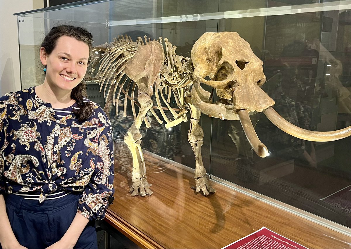 Amazing week learning from #whale friends and fellow #isotope geeks at the European Cetacean Society conference in Catania #Sicily 🥰🤓🐋🍊☀️🇮🇹 Plus a spare moment to indulge my inner palaeo-nerd and check out some of Sicily’s extinct dwarf #elephant #fossils! 🐘 #ECS2024