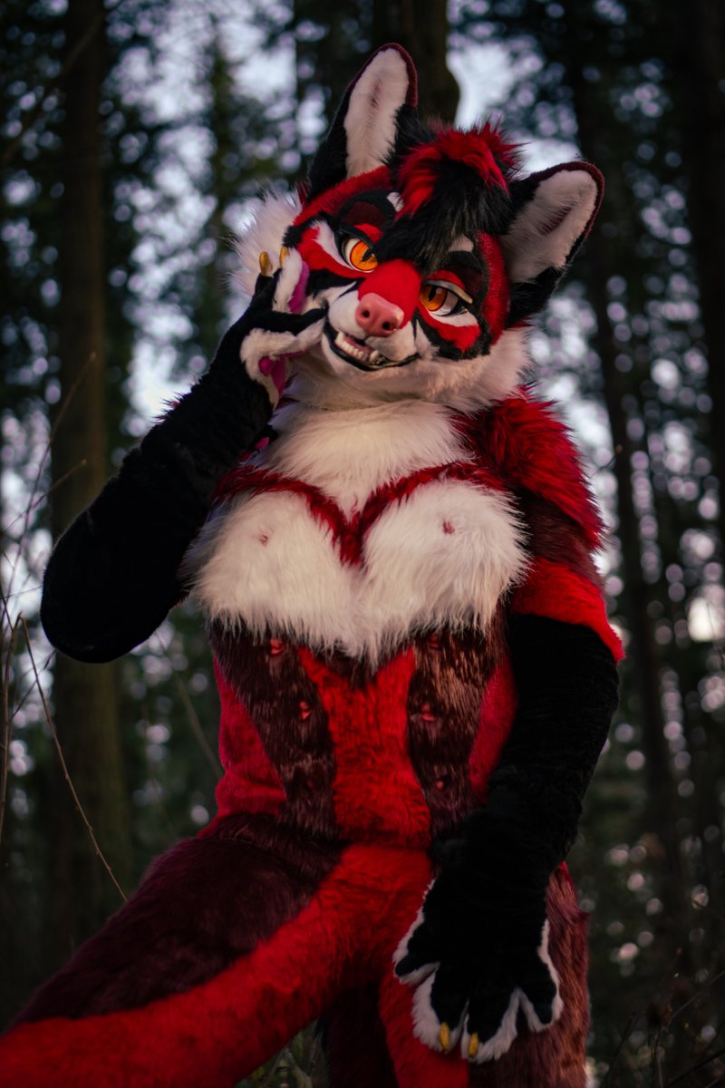 Oh gosh, you caught me! Now what? 😘

🧵 <a href="/MidnightMkrs/">◇ Midnight Makers ◇</a> 
📷 <a href="/YaltaWuff/">🐺 Yalta Wuff 📷</a> 
#FursuitEveryDay #Furry #Fursuit