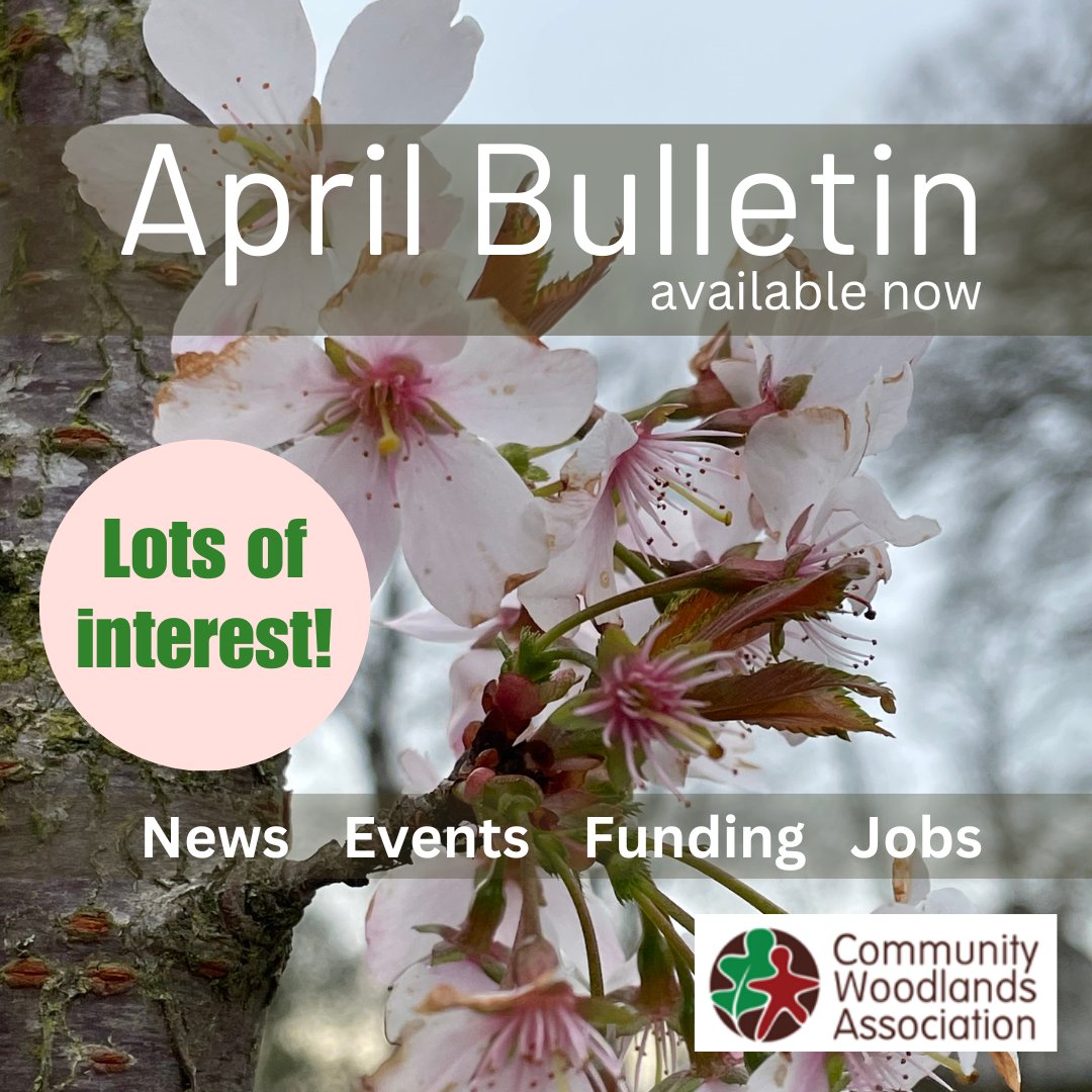 The April Bulletin is available 😊 communitywoods.org/newsletters-an…