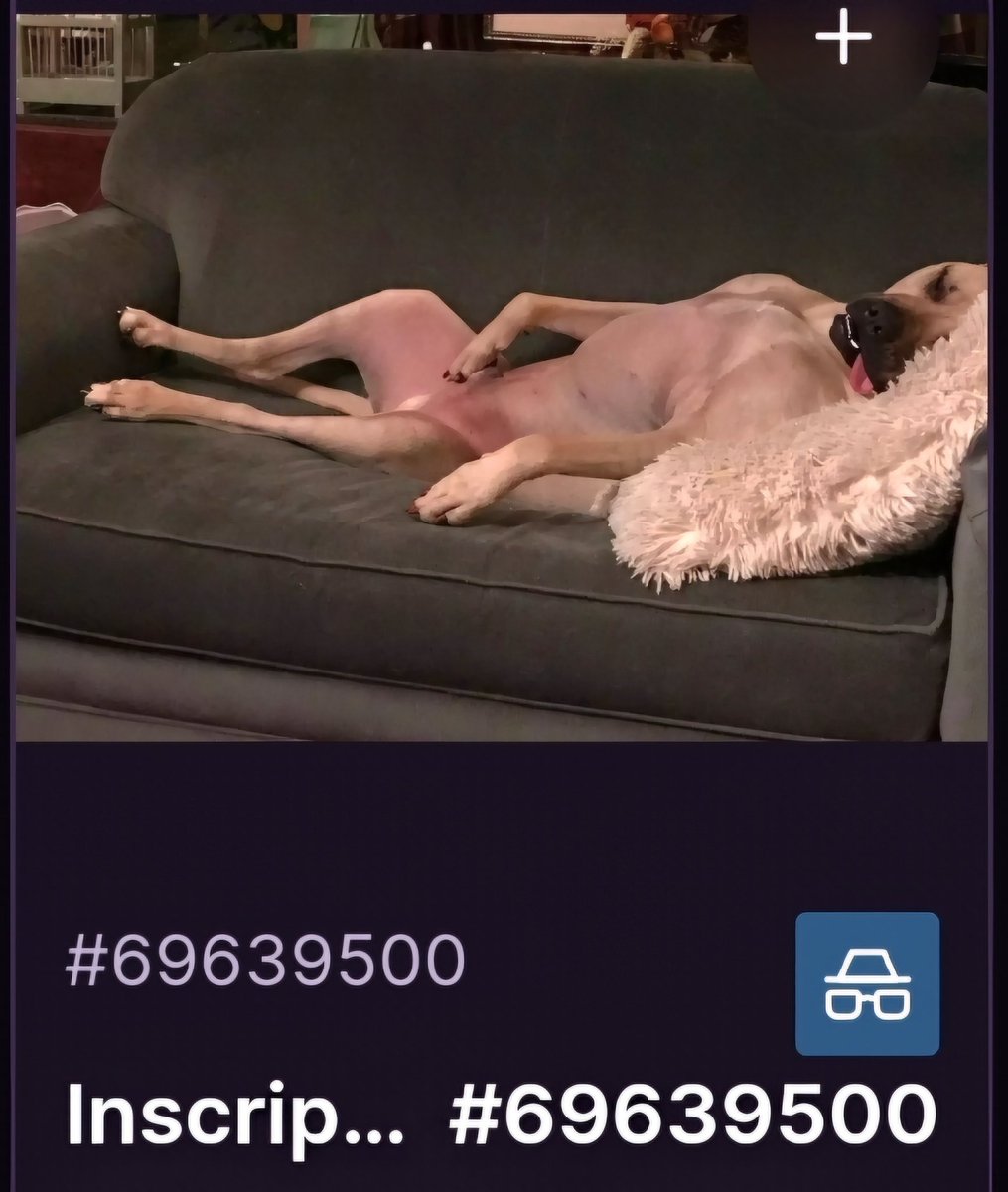 Johnnypotsm0kr's tweet photo. Yes, this good boy is #Inscribed on #Bitcoin
My dog is on the blockchain forever!
#69639500 #Nakamotoblock
#Inscription #BTC https://t.co/AONrwExhwf
