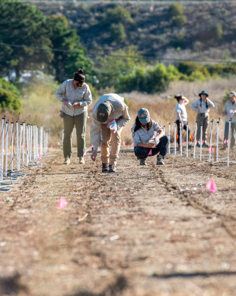 Habitat restoration isn't a quick fix, it's a commitment to nurturing and enhancing ecosystems over time. From preparing sites to planting native seeds, every step plays a vital role in creating resilient habitats for wildlife. Learn more: bit.ly/3vj5DlP