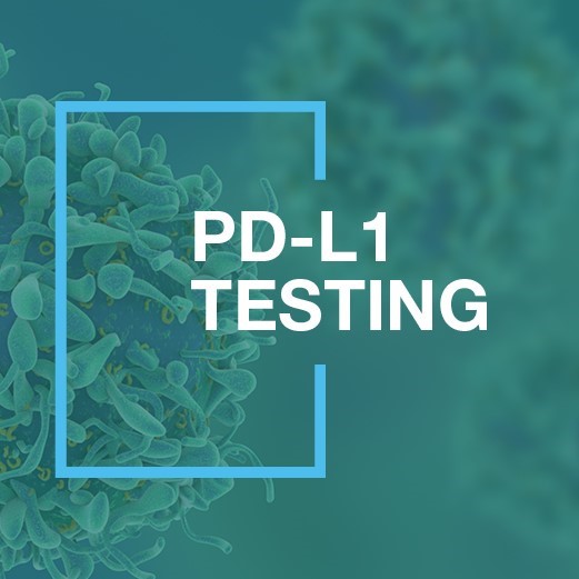 Available now are new online resources to help you navigate the ever-evolving PD-L1 testing field. Find the latest recommendations in the field, enabling you to improve processes around PD-L1 testing in your lab. Learn more now: bit.ly/40vGsHJ