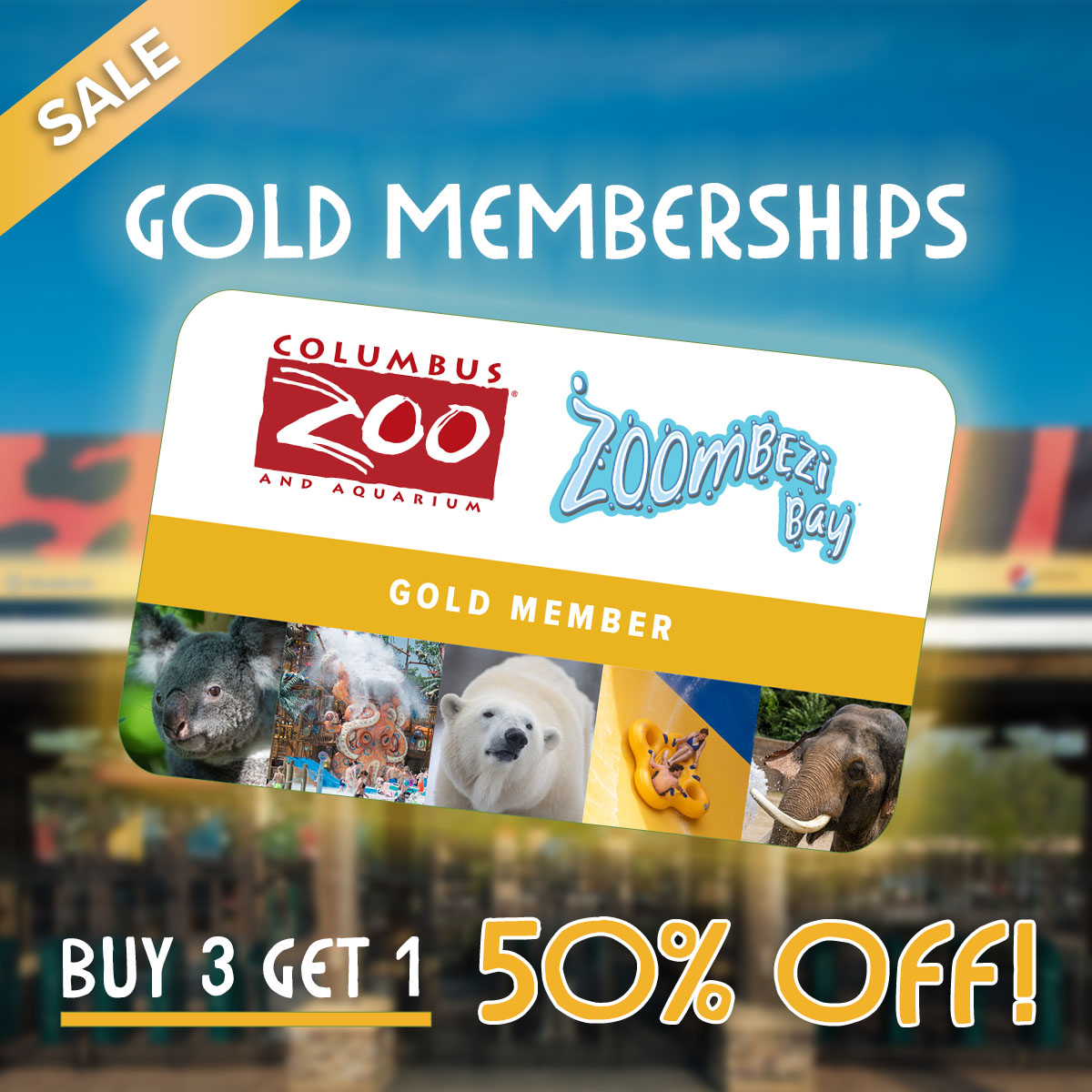 NOW through May 17, guests can purchase three gold memberships and receive one 50% off! Learn more at columbuszoo.org/membership