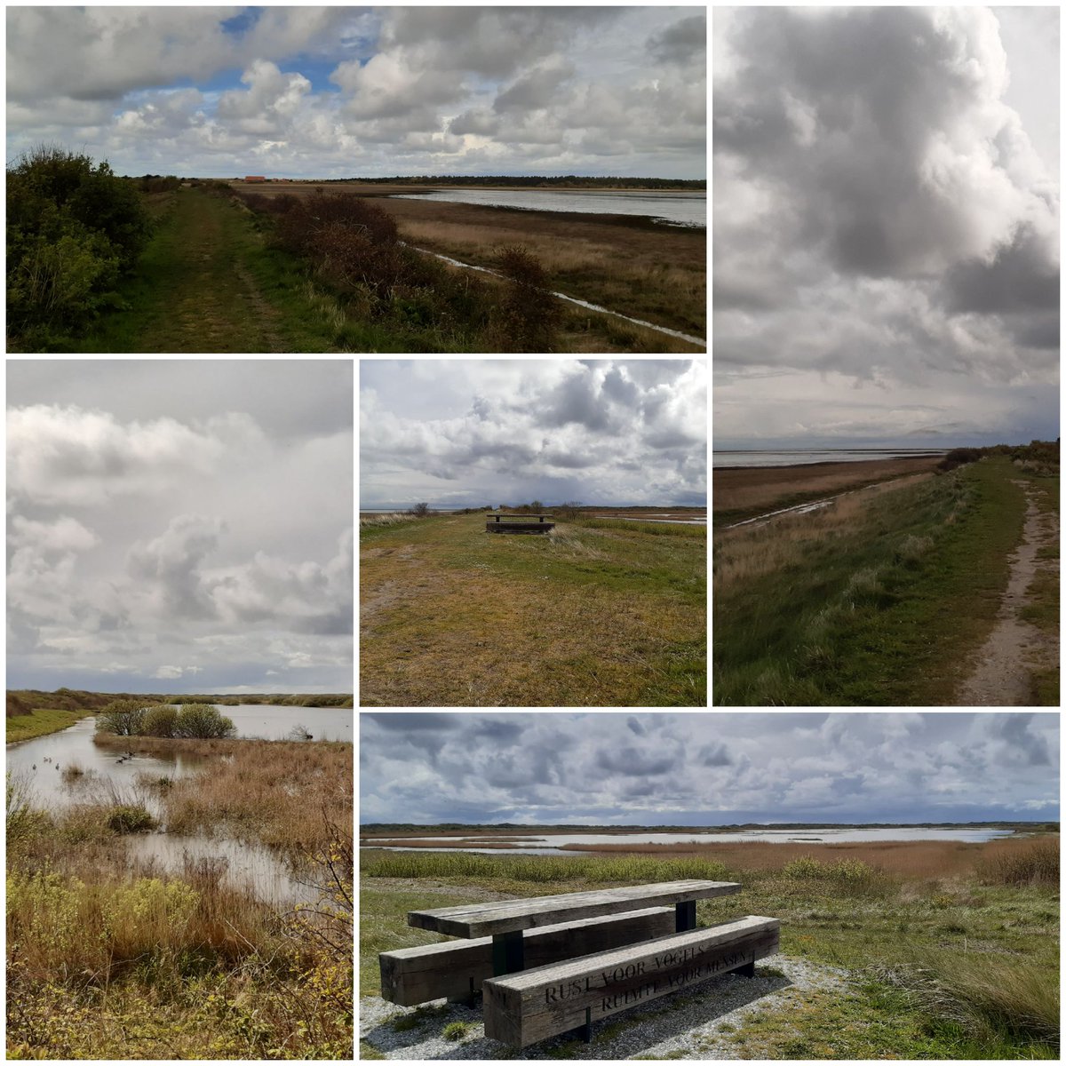 En ik zou niet wandelen vandaag😆 Tja, de Kroonpolder is prachtig!🚶‍♀️ #Vlieland