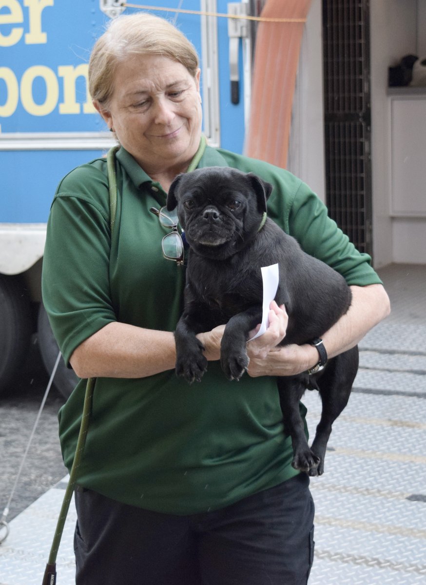 After lots of love and tail wags - they're officially here! Let's talk about ways you can help: ⭐ If you'd like to learn more and give to this rescue: hsmo.org/rescue. ⭐ Donations of blankets, towels, newspaper etc! Thank you for all of your support! 💗🐾