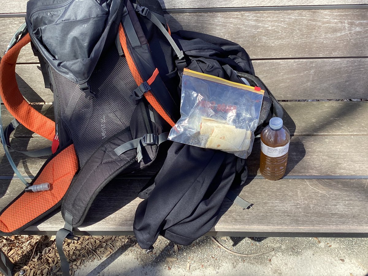 rex88ter's tweet image. Outdoor workout today, 4x 200 meter hill run, fit park workout  and lunch in the park. Good afternoon. #aprilchallenge @321gaux