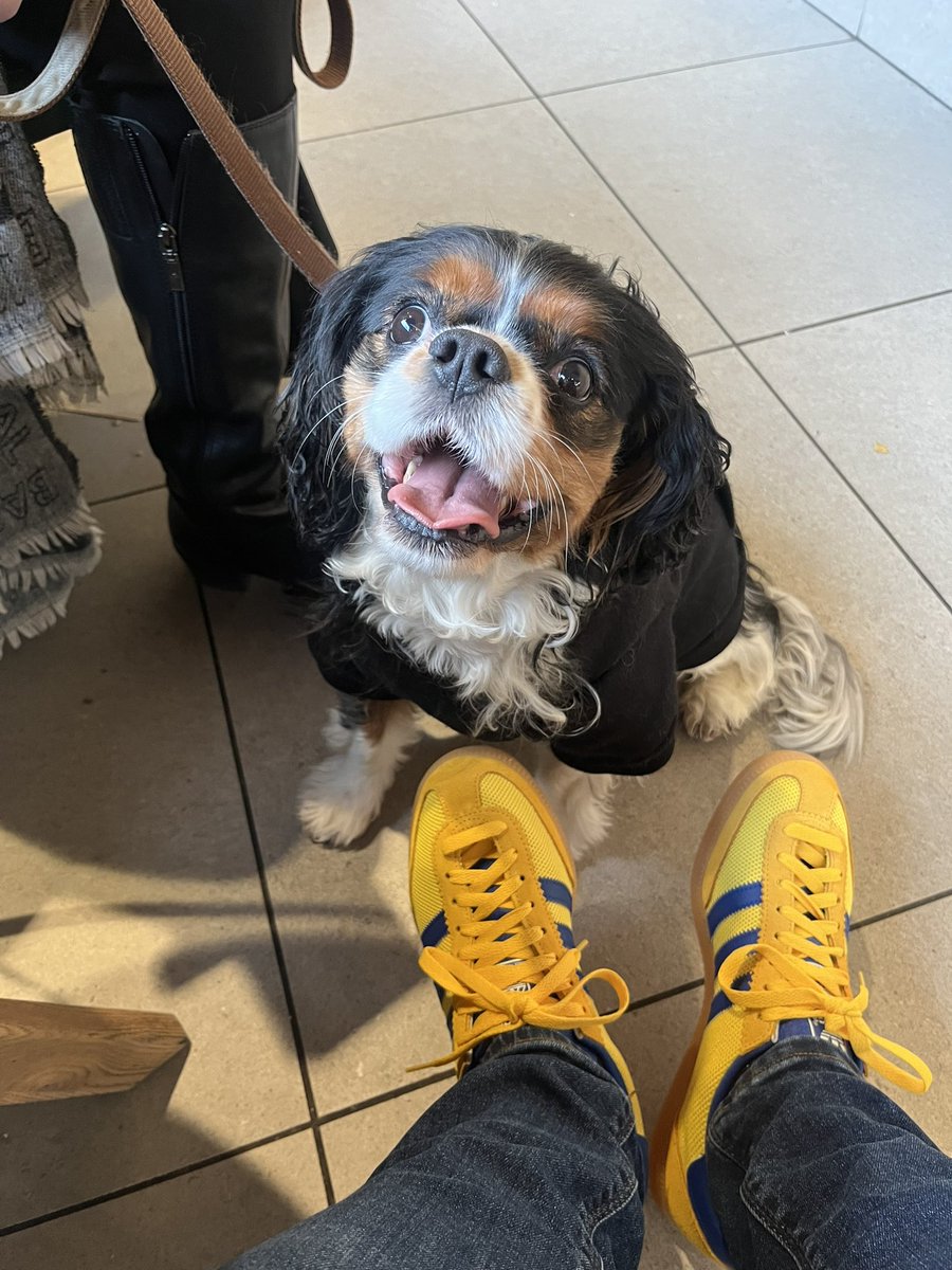 Wednesday sharing , Impromptu coffee shop with our Lola, Malmo Net Spzl on foot #shareyourstripes