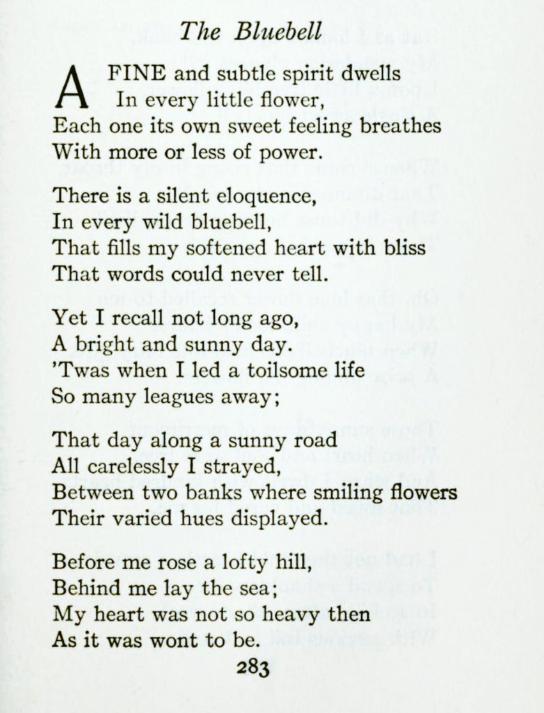 A most wonderful poem 
     for this time of year.
#bluebells #poetrylovers

  'The Bluebell'
by Anne Brontë