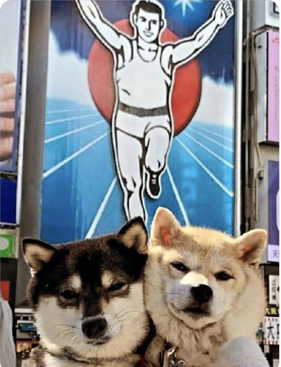 Osaka Protocol tweet media