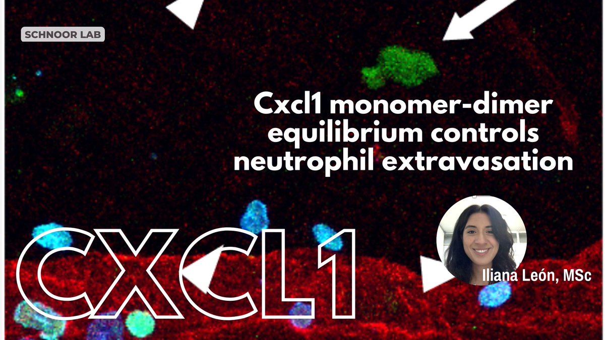 Schnoor Lab tweet media