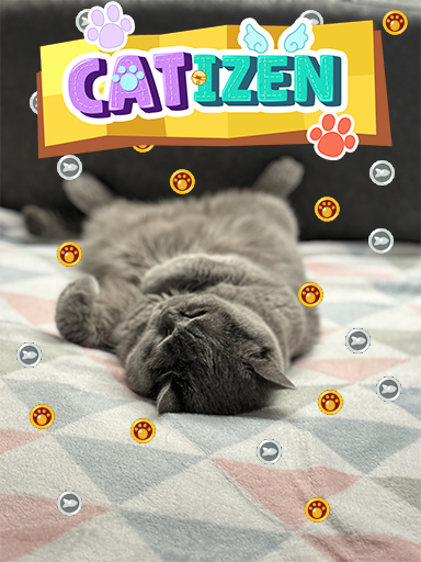 d1x1edokyanon's tweet photo. Hi everyone, I want to show you my cat! Her name is Musya (Musilda). She is 7 years old. Her Breed is British Shorthair cat. I will be very pleased if you start playing Catizen using my referral link. Participate in the #CatizenEvent and I wish you all a Good Day! <3 @CatizenAI https://t.co/eS6YD7zAmJ