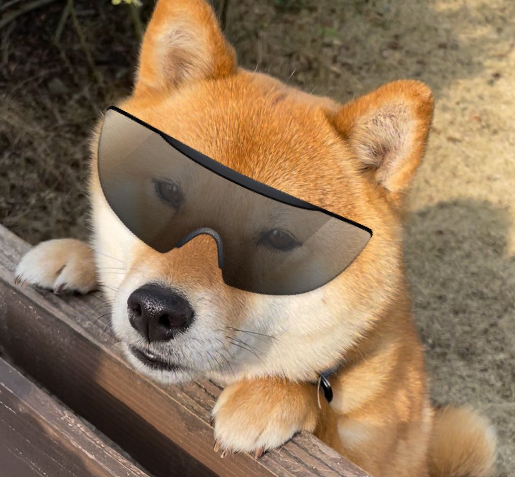 houkagotk's tweet photo. @TheShibmagazine my SHIB inu
$SHIB
#CDSA
https://t.co/Oa2wpXP4mS https://t.co/HbdTvsxCWT