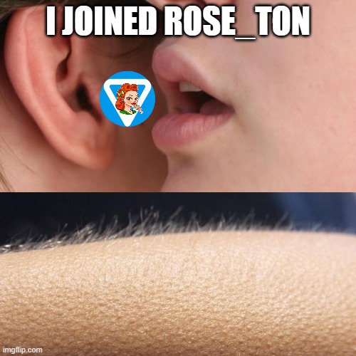 RoseTon_io's tweet photo. 💰 Join: https://t.co/S5LSe2Fn7J 

#Ton #Airdrop https://t.co/IRaIWQ2K50