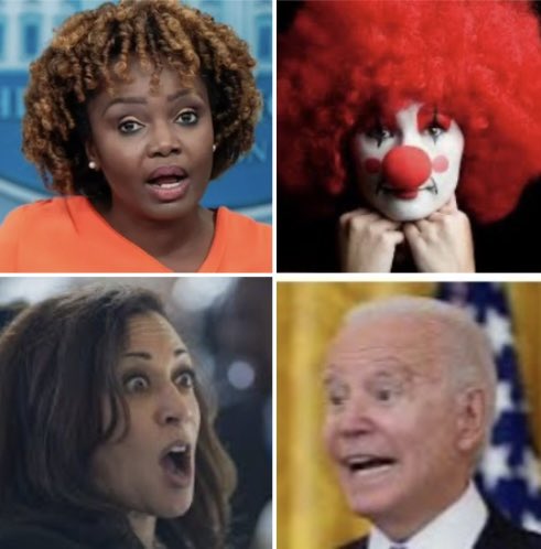 It figures that the lying and idiotic clowns in the dysfunctional and destructive circus known as the Biden administration chose a lying and idiotic clown to be “the face of their circus”. I’m sick of their clown world, Let’s shut their fvcked up circus down on November 5th.