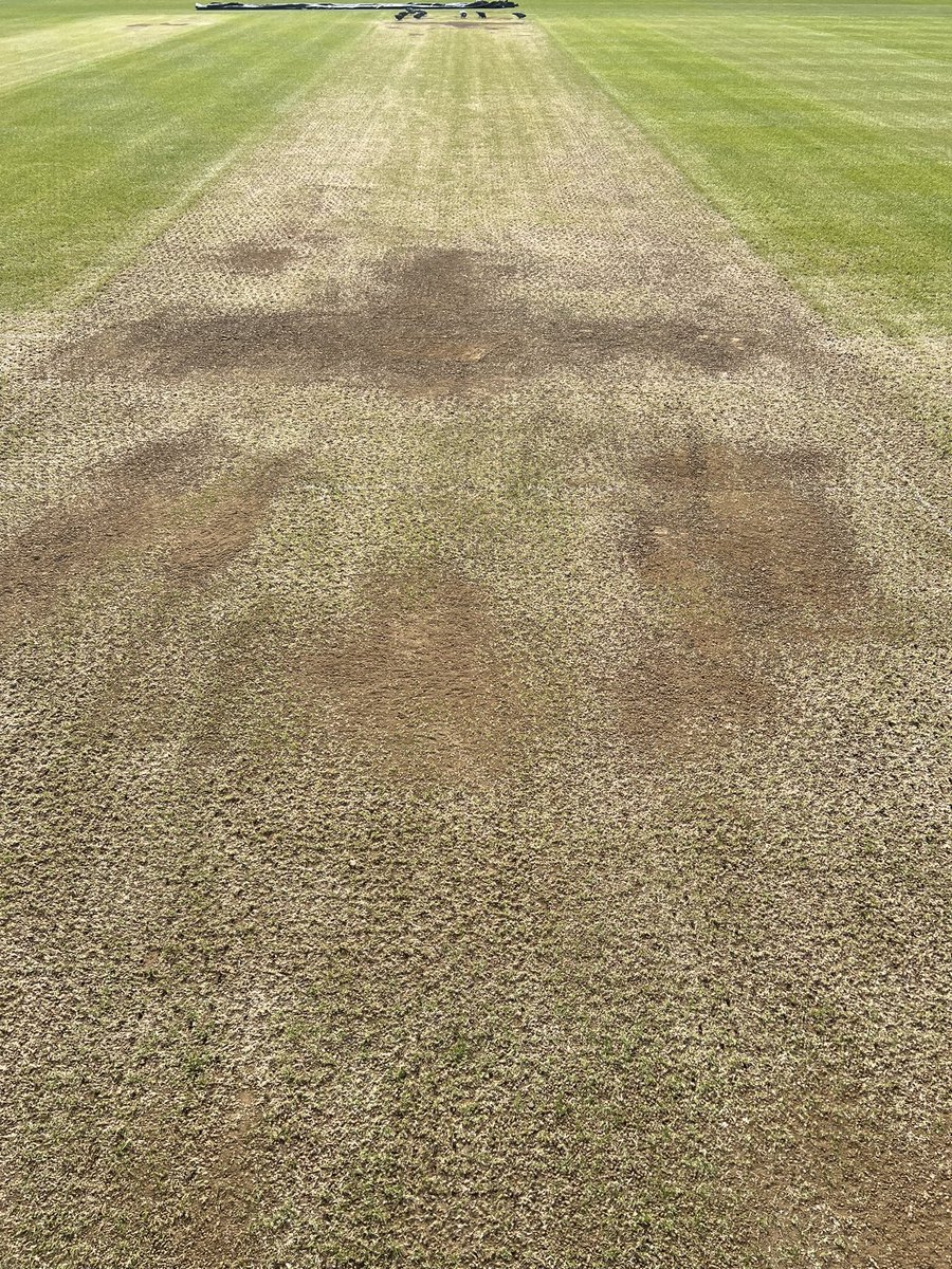 First two pitches we used have been cleaned up, overseeded using @QualitySeed and top dressed with @BinderLoams in preparation for a second use later in the season. #cricket #countycricket #lords