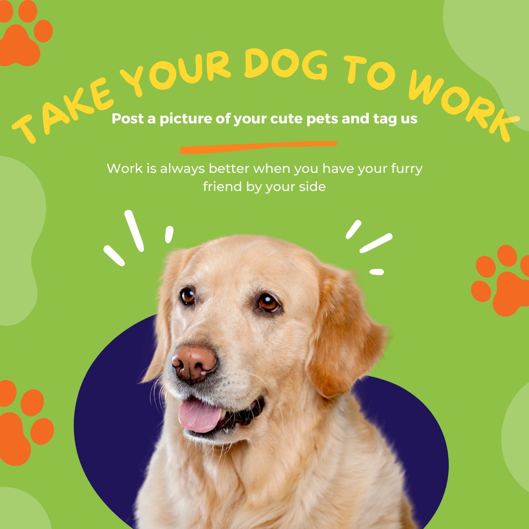 Calling all dog lovers! Bring your furry friends to work today at Satellite Santa Cruz! Our pet-friendly workspace ensures that both you and your pup can enjoy a productive and pawsitive day together. #DogFriendlyWorkspace #BringYourDogToWork #Santacruz #Satellite #Cowork